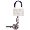 十字塑钢锁，原子塑钢锁，梅花塑钢锁，感应塑钢锁,防撬锁