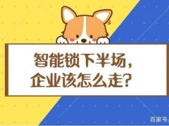 冷思考｜智能锁行业的下半场该怎么走？