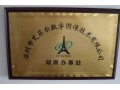 艾菲尔指纹锁公司诚招各地经销商