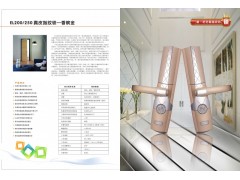 艾菲尔EL250香宾金  最安全的指纹锁图2