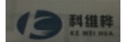科维桦