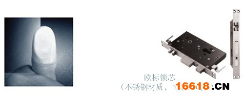 欧标锁芯，指纹识别
