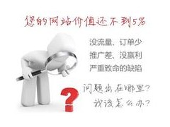 网站诊断