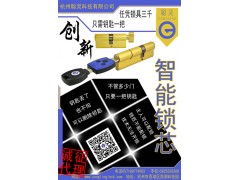 创新智能锁芯   价格便宜   利润空间大图3