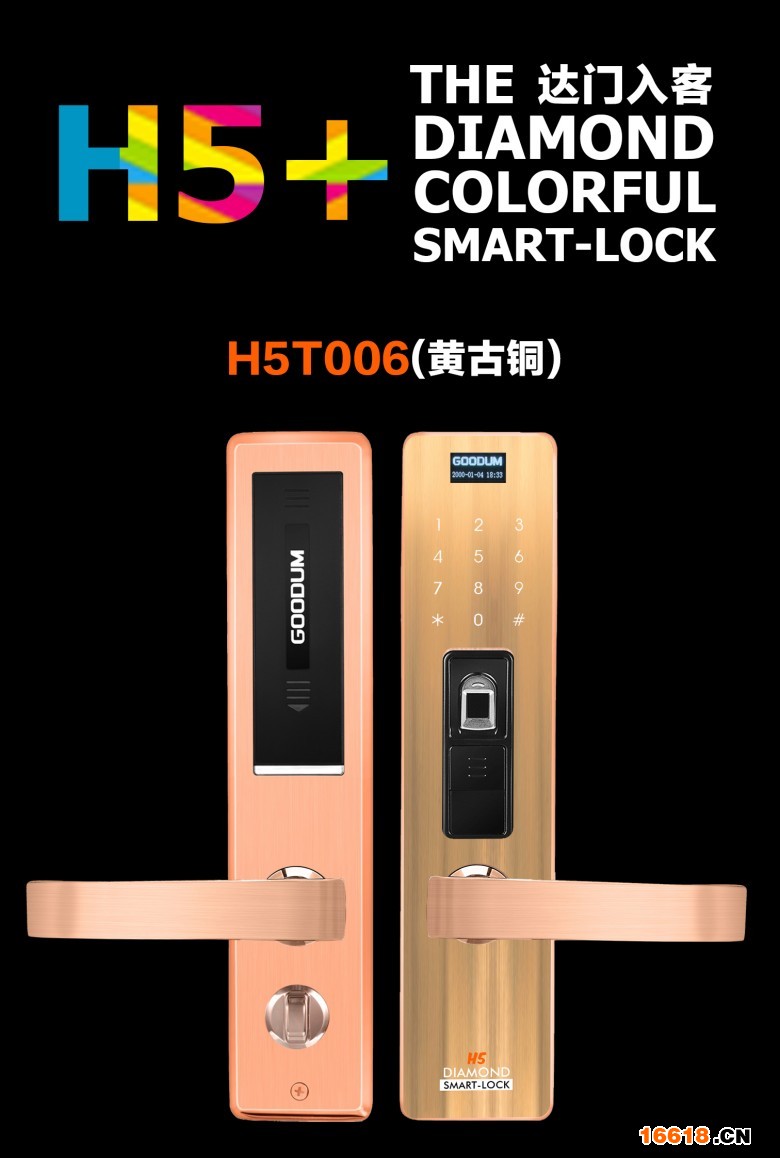 H5T006(黄古铜色)_conew1