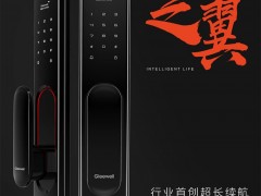 格里维尔家用防盗门指纹锁 全自动电子智能密码刷卡门锁图3